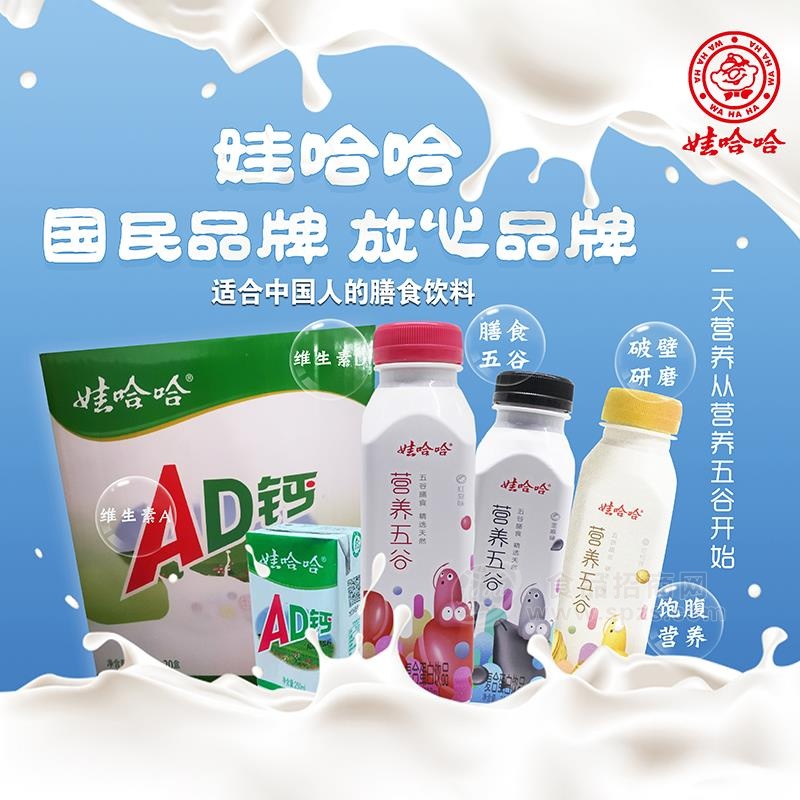 娃哈哈AD钙奶营养五谷复合蛋白饮品招商