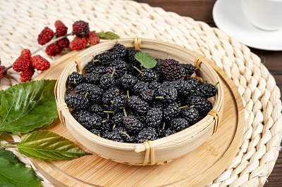 桑葚