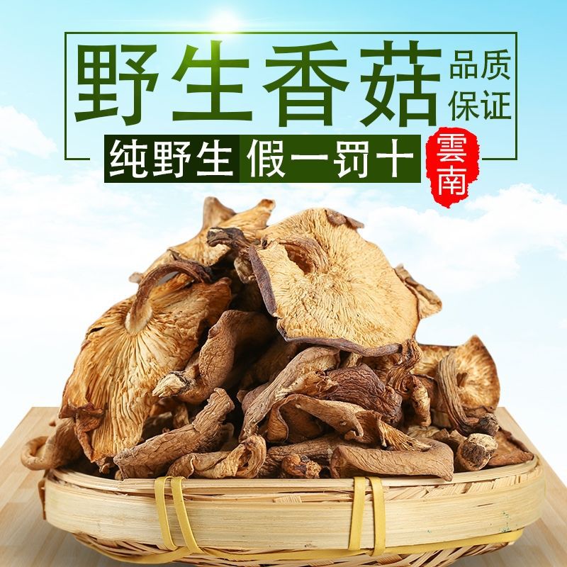 云南新鲜香菇特产干香菇椴木香菇干货批发价冬菇菌菇煲汤食材