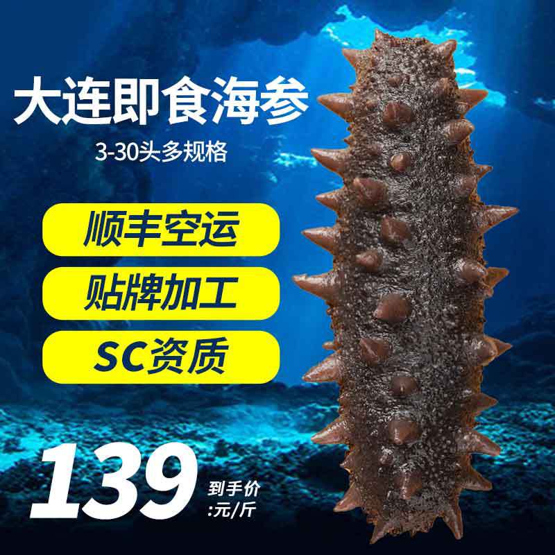 【海参工厂】sc工厂大连即食海参批发鲜食海参500G海参礼品批发