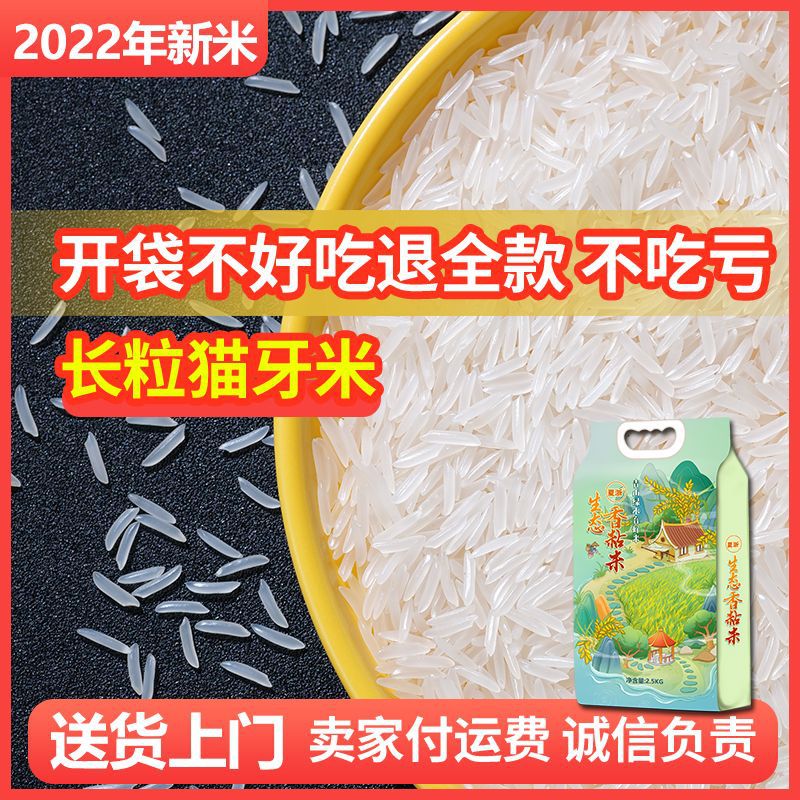 大米5kg批发猫牙米长粒香超长新米1斤新米斤小袋香米煲仔饭粥现货