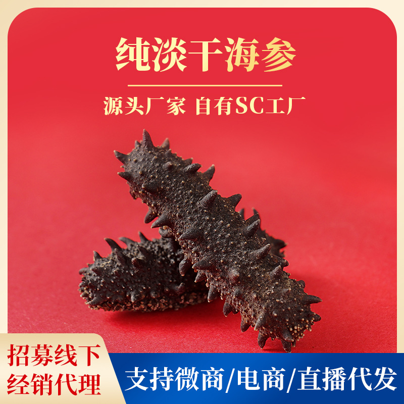 SC工厂现货批发大连A级淡干海参辽参刺参海参干货批发海参干货50G