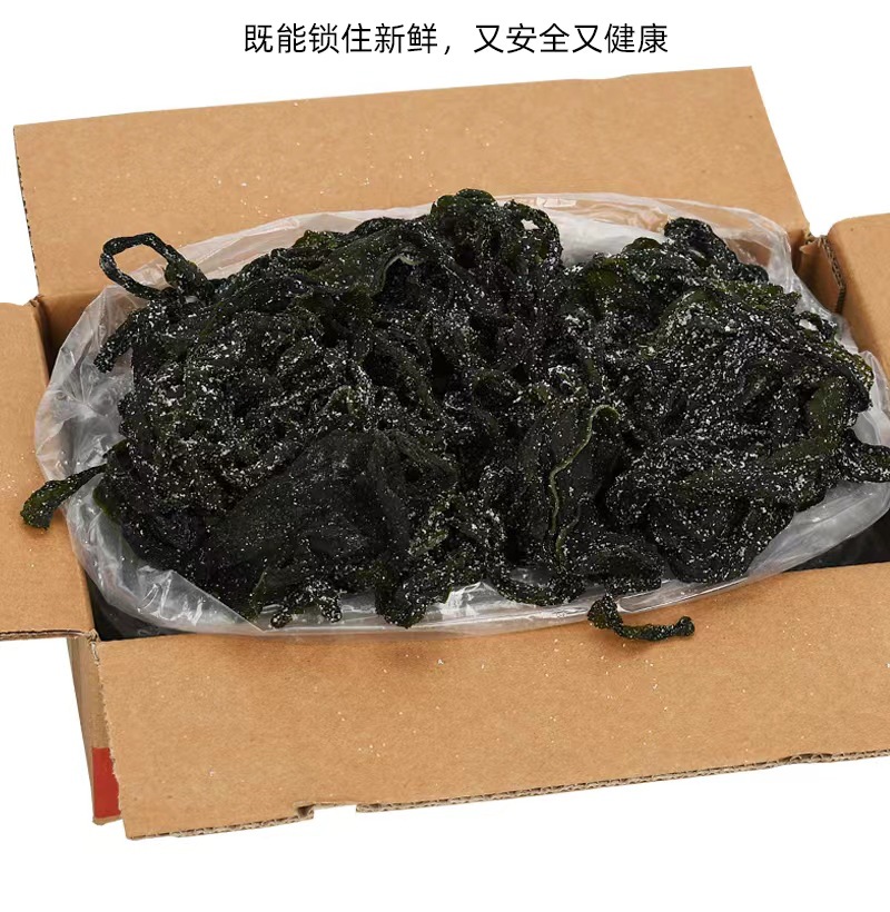 裙带菜煲汤炖粥无盐半干裙带菜 无沙鲜嫩即食凉拌菜干货整箱批发