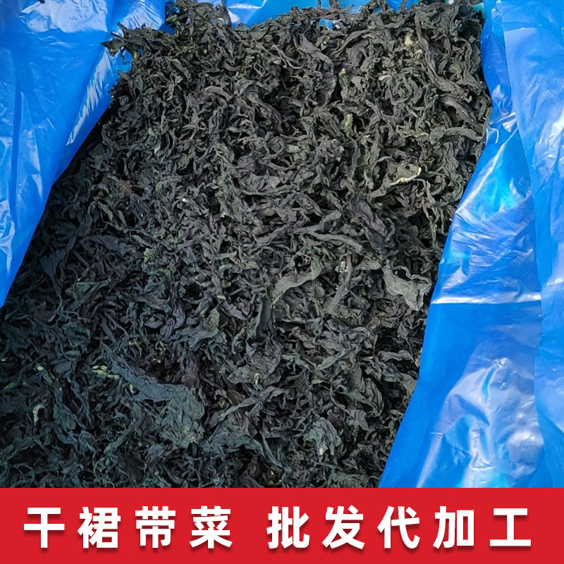 工厂直供批发 烘干裙带菜 散货整箱装高泡发海白菜 脱水裙带菜干