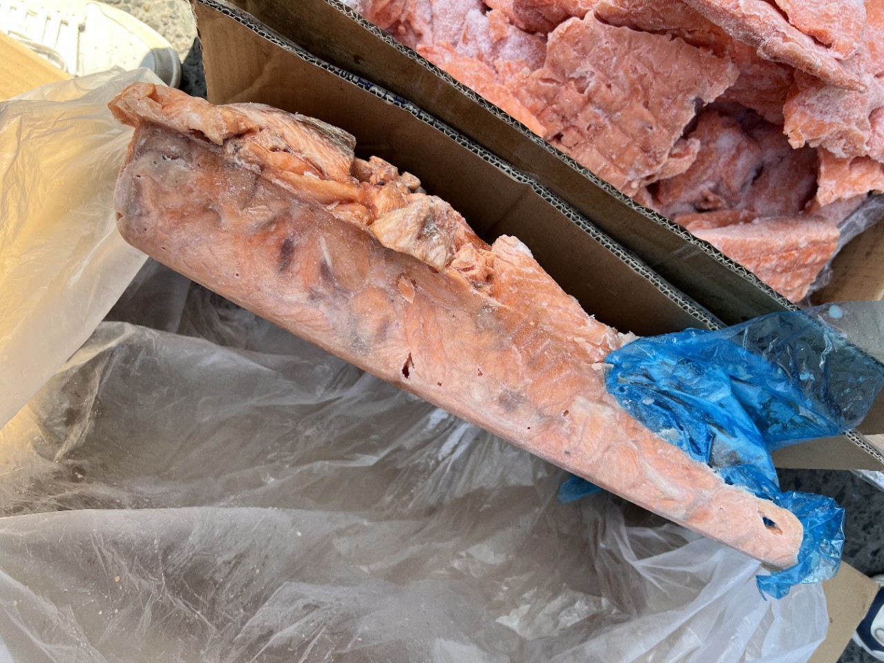 三文鱼大西洋鲑鱼碎肉边角料鱼肉背部褐色肉无刺鱼油丰富