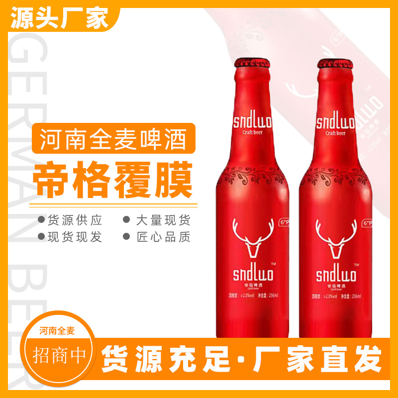 厂家直供帝格覆膜啤酒自助餐夜场酒吧KTV酒水236Ml*24瓶精酿啤酒