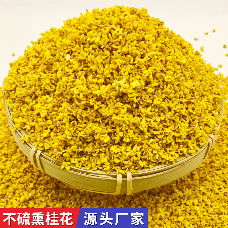 【厂家直供】广西特产花草茶 桂花干花 干桂花 无硫熏 桂花茶