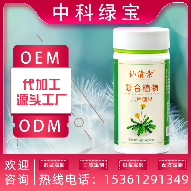 蒲公英酵素复合植物片口服压片糖果OEM贴牌代加工广州源头工厂