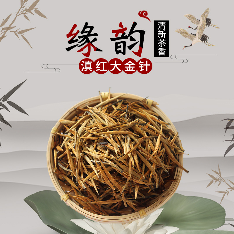 大金针 云南滇红茶 凤庆大叶种茶 散装滇红茶