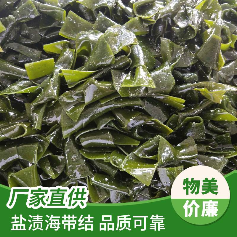 大连海带裙带菜盐渍海带结厚实无砂海带结海带丝干货海白菜批发