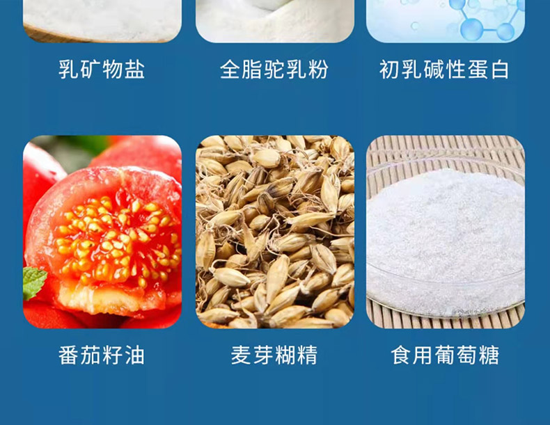 11利普高素02.jpg