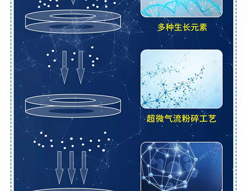 12利普高素02.jpg